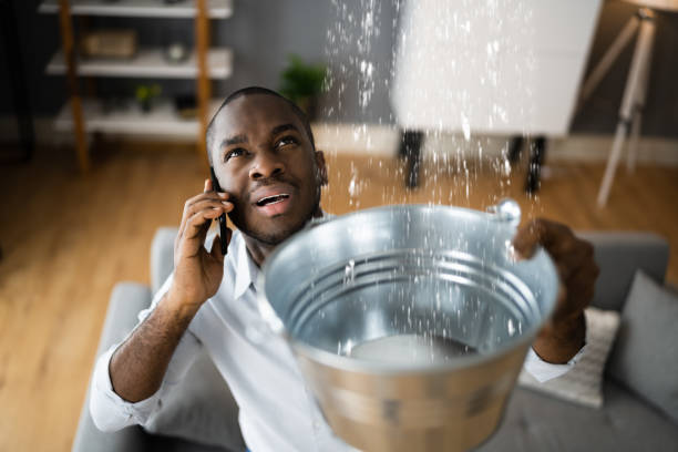 Best Basement water damage restoration  in Monroe, UT