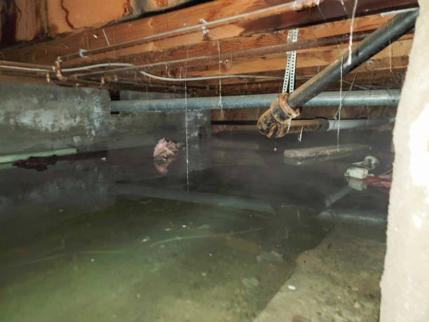 Best Water damage contractors near me  in Monroe, UT