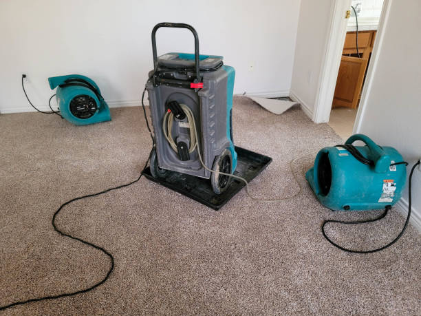  Monroe, UT Water damage restoration Pros