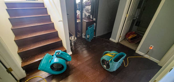 Best Water damage restoration mold remediation  in Monroe, UT