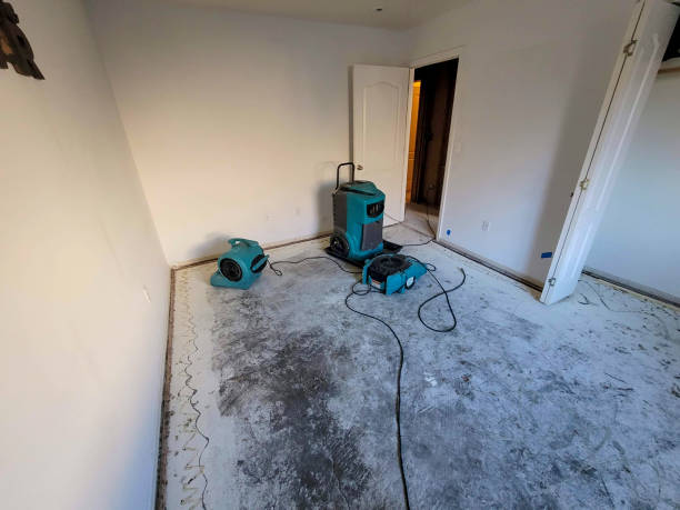 Best Commercial water damage restoration  in Monroe, UT