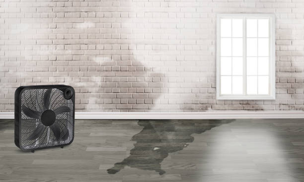 Best Emergency water damage restoration  in Monroe, UT