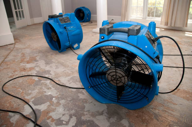 Best Sewage cleanup and water damage restoration  in Monroe, UT