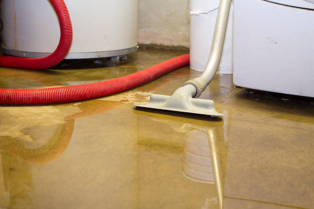 Best Professional water damage repair  in Monroe, UT