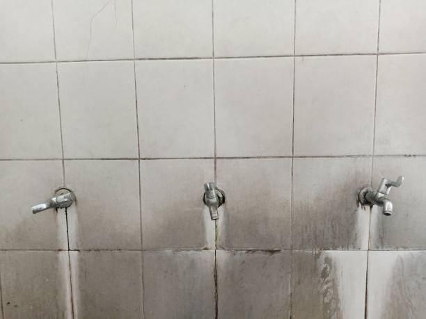 Best Flood damage cleanup  in Monroe, UT