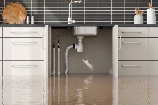 Best Water damage repair service  in Monroe, UT
