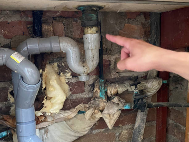 Best Water damage repair service  in Monroe, UT