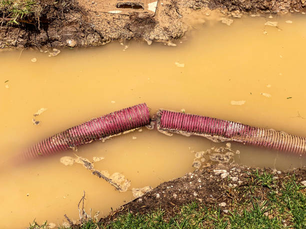 Best Water damage restoration near me  in Monroe, UT